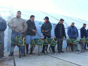 Imagen de Herreruela de Oropesa mapa 45588 5 