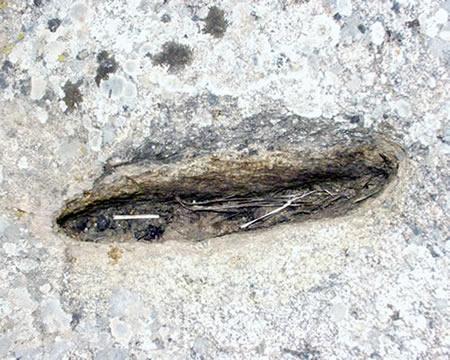 Imagen de Higuera de la Serena mapa 06441 2 