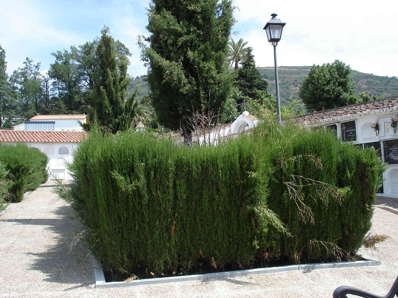 Imagen de Higuera de la Sierra mapa 21220 2 