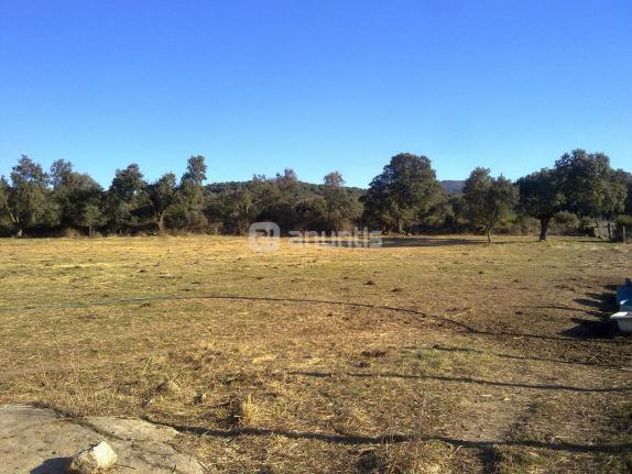 Imagen de Higuera de las Dueñas mapa 05427 4 