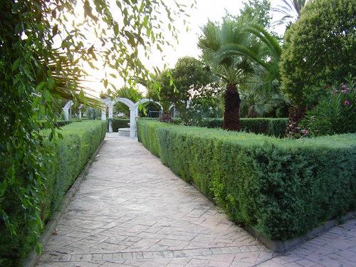 Imagen de Higuera de Llerena mapa 06445 6 