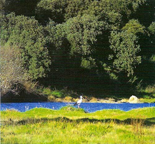 Imagen de Higuera de Vargas mapa 06132 5 