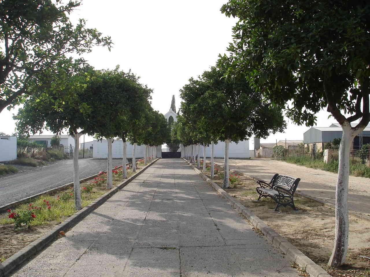 Imagen de Hinojos mapa 21740 3 