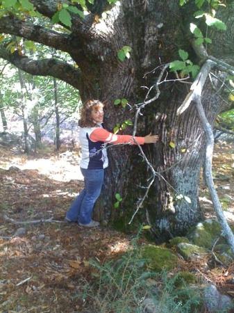 Imagen de Hinojosa de San Vicente mapa 45645 1 