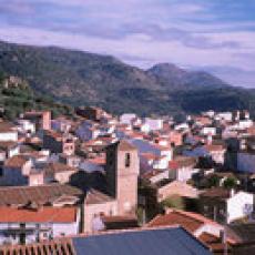 Imagen de Hinojosa de San Vicente mapa 45645 2 