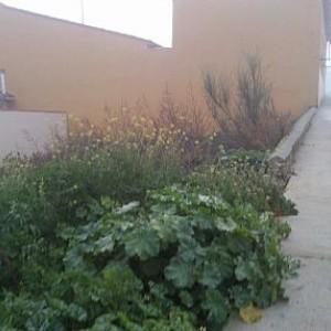 Imagen de Holguera mapa 10829 6 