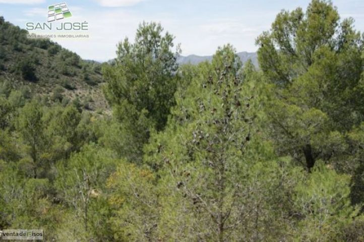 Imagen de Hondón de las Nieves mapa 03688 6 