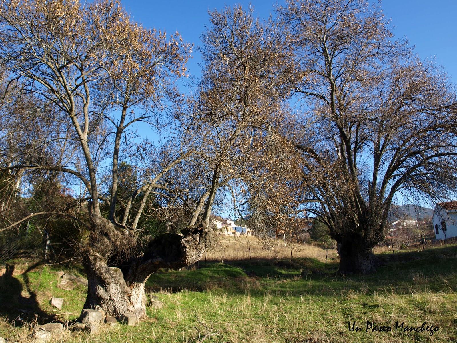 Imagen de Hontanar mapa 45159 5 