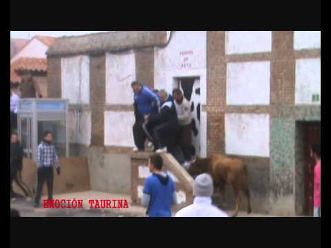 Imagen de Horcajo de las Torres mapa 05210 3 