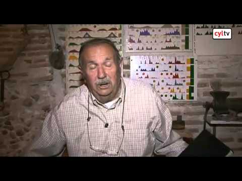 Imagen de Horcajo de las Torres mapa 05210 4 