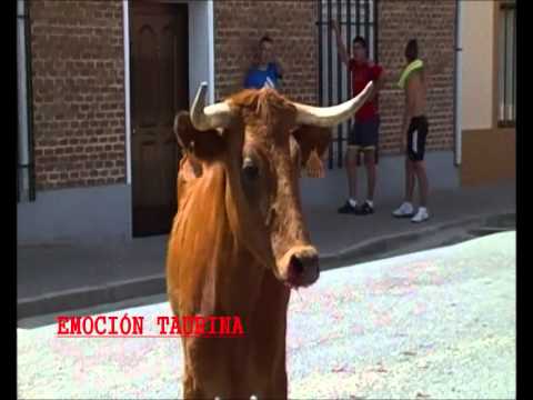 Imagen de Horcajo de las Torres mapa 05210 5 