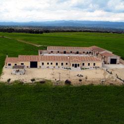 Imagen de Hormigos mapa 45919 2 