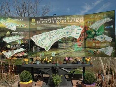 Imagen de Hormilla mapa 26323 3 