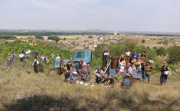 Imagen de Hoyales de Roa mapa 09316 6 