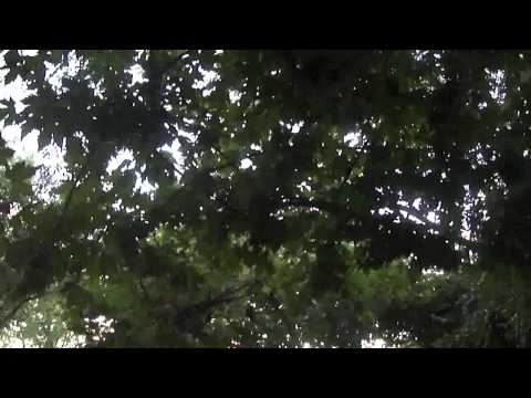 Imagen de Huélaga mapa 10849 5 