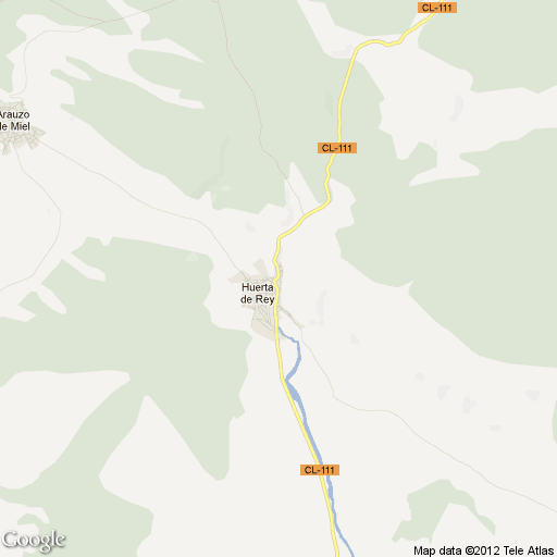 Imagen de Huerta de Rey mapa 09430 1 