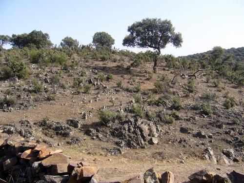 Imagen de Ibahernando mapa 10280 3 