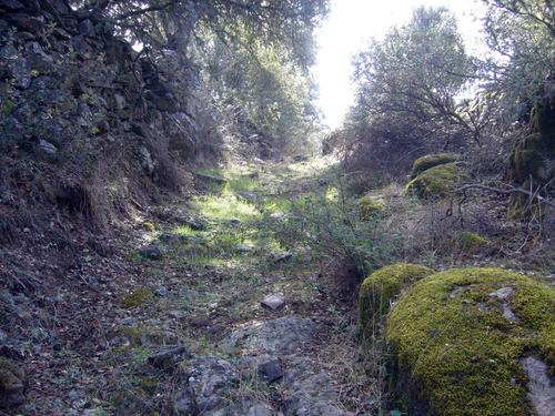 Imagen de Ibahernando mapa 10280 4 