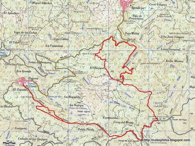 Imagen de Igualeja mapa 29440 4 