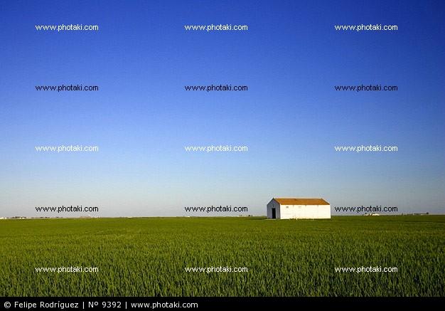 Imagen de Isla Mayor mapa 41140 2 