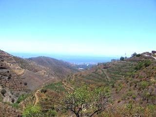 Imagen de Itrabo mapa 18612 5 