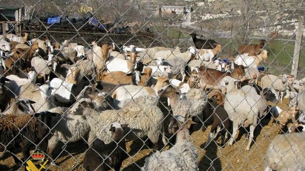 Imagen de Ivars de Noguera mapa 25122 3 