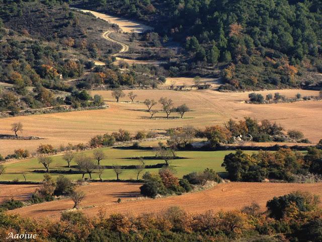 Imagen de Ivorra mapa 25216 5 