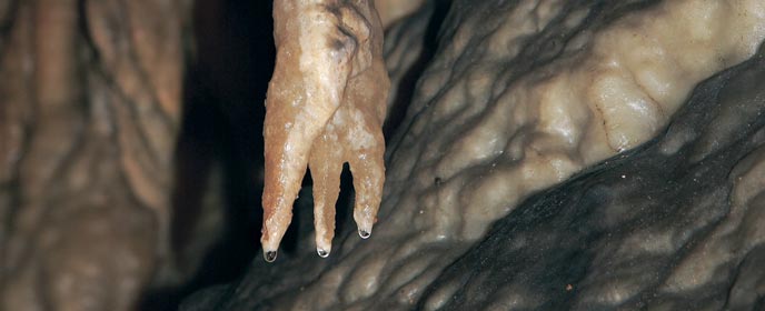 Imagen de Jalance mapa 46624 5 