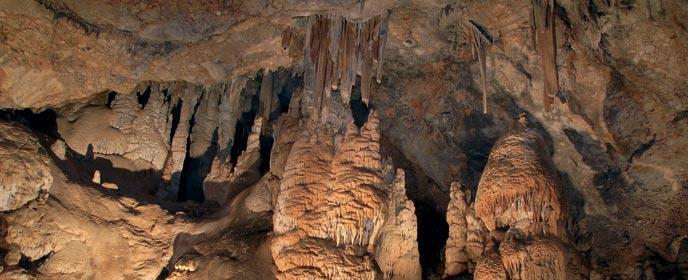 Imagen de Jalance mapa 46624 6 