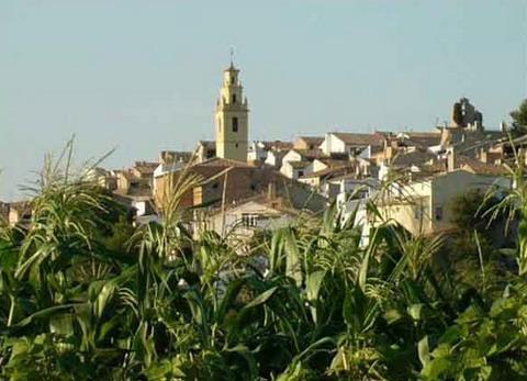 Imagen de Jarafuel mapa 46623 6 