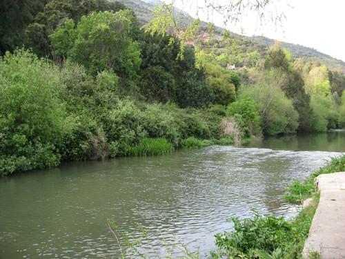 Imagen de Jimera de Líbar mapa 29392 2 