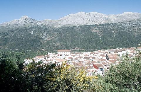 Imagen de Jimera de Líbar mapa 29392 5 