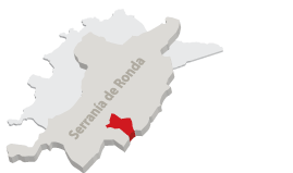 Imagen de Jubrique mapa 29492 5 