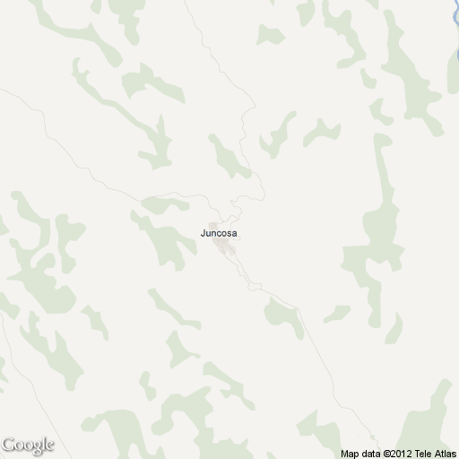 Imagen de Juncosa mapa 25165 1 