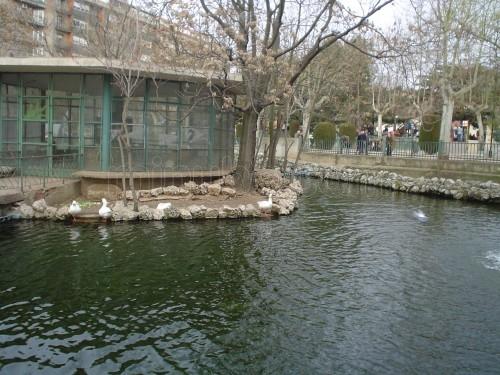 Imagen de La Alamedilla mapa 37554 3 