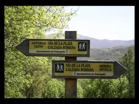 Imagen de La Calzada de Béjar mapa 37714 6 