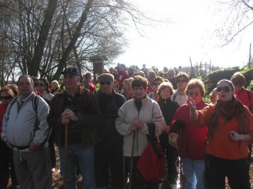 Imagen de La Codosera mapa 06518 5 