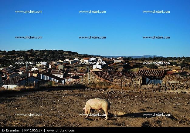 Imagen de La Horcajada mapa 05695 2 