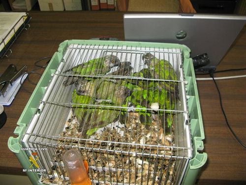 Imagen de La Jonquera mapa 17700 5 