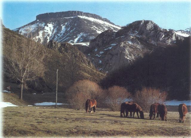 Imagen de La Pernía mapa 34847 2 