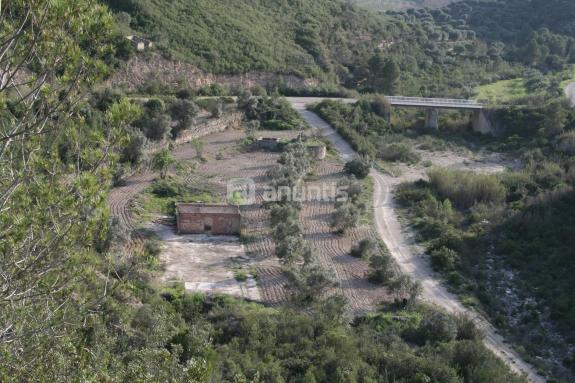 Imagen de La Pobla de Massaluca mapa 43783 4 