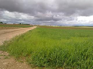 Imagen de La Puebla de Almoradiel mapa 45840 3 