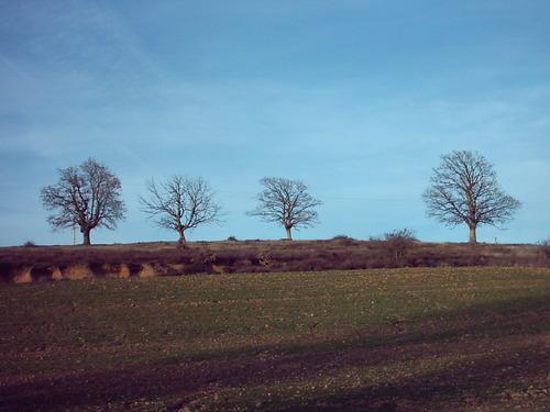 Imagen de La Puebla de Valdavia mapa 34470 3 