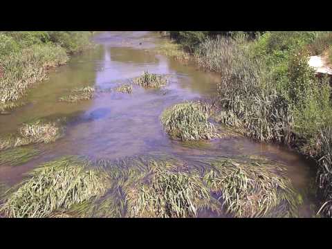 Imagen de La Puebla de Valdavia mapa 34470 4 