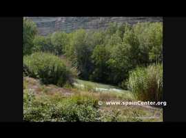 Imagen de La Recueja mapa 02249 3 