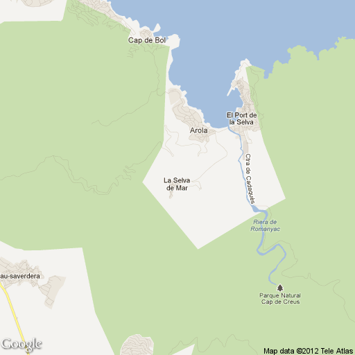 Imagen de La Selva de Mar mapa 17489 1 