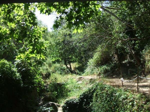 Imagen de La Selva de Mar mapa 17489 3 