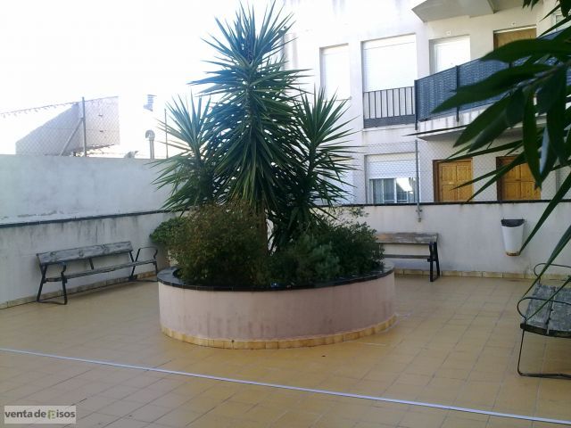 Imagen de La Sénia mapa 43560 4 