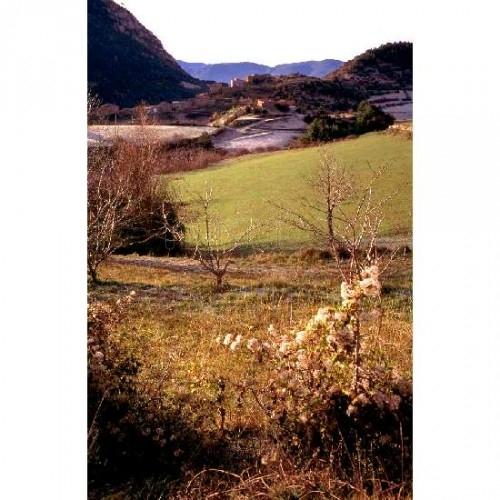 Imagen de La Vansa i Fórnols mapa 25717 1 