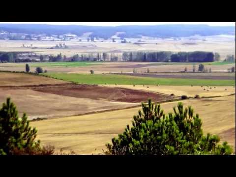 Imagen de La Vid de Ojeda mapa 34485 6 